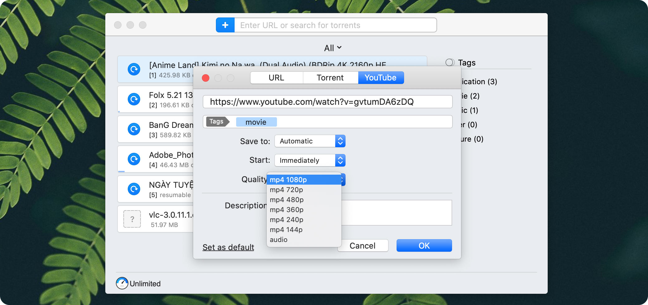 Sử dụng phần mềm hỗ trợ Download trên MacOS có chức năng download trên Youtube