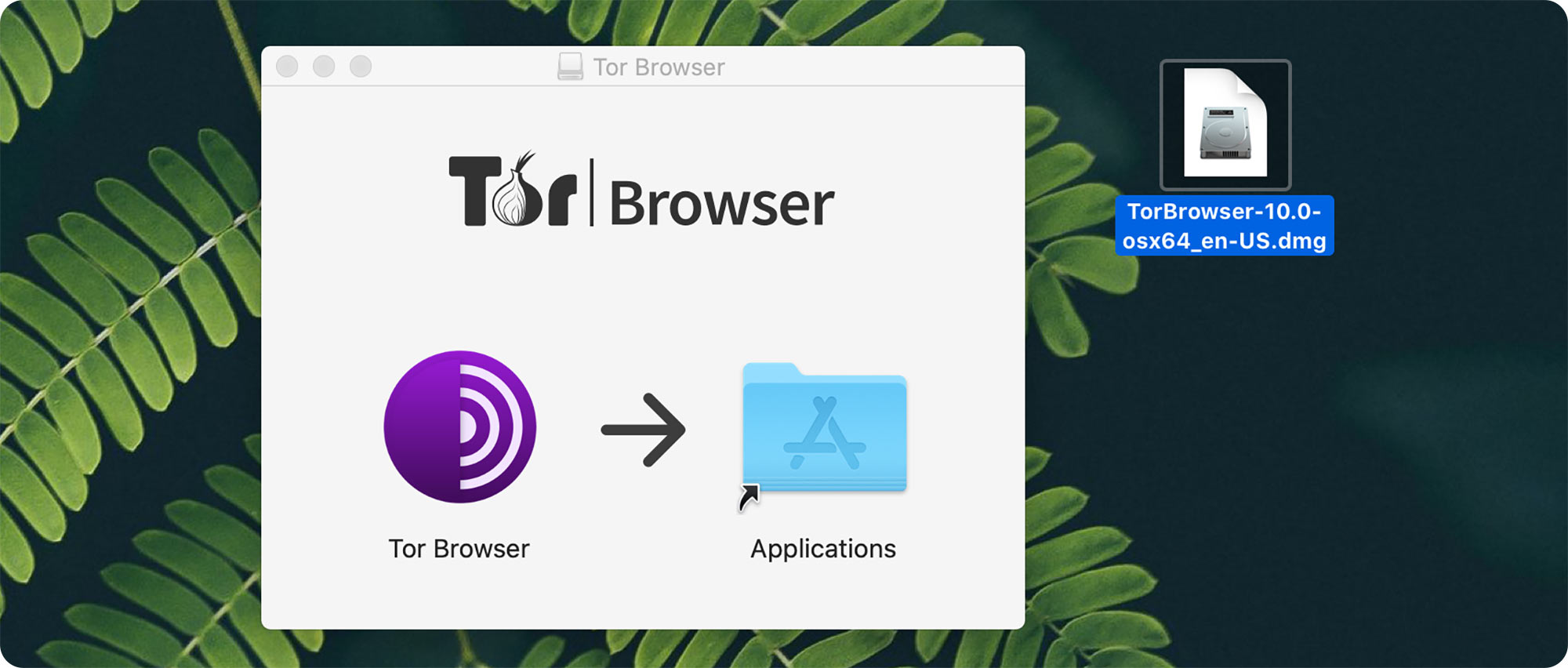 Tor browser на mac os не подключается gydra установка tor browser в manjaro вход на гидру