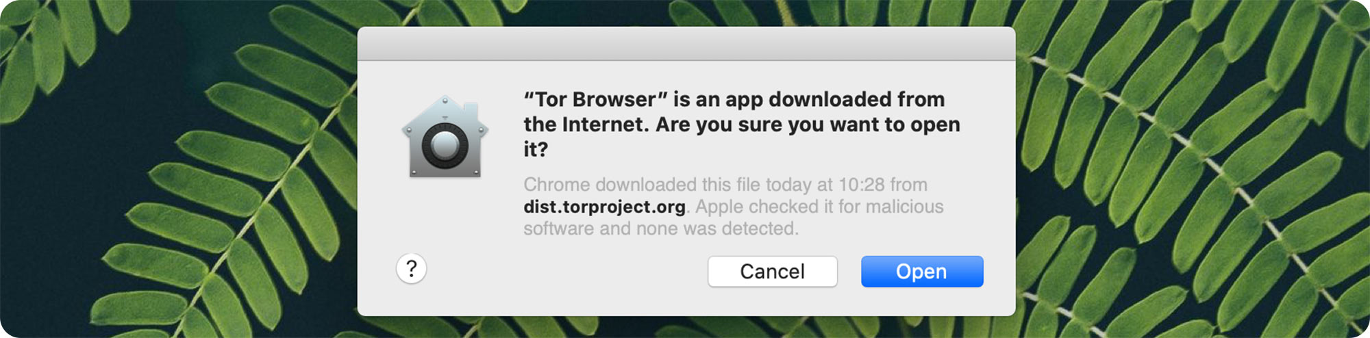 Tor browser on mac вход на гидру конопля многолетнее растение