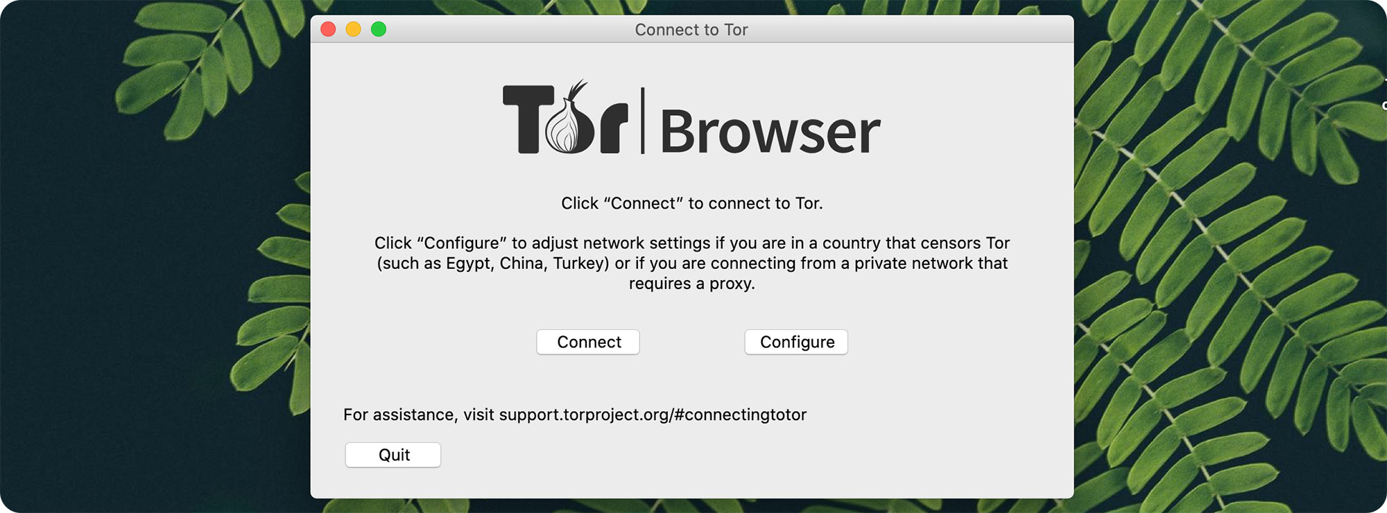 tor browser not connecting mac hidra