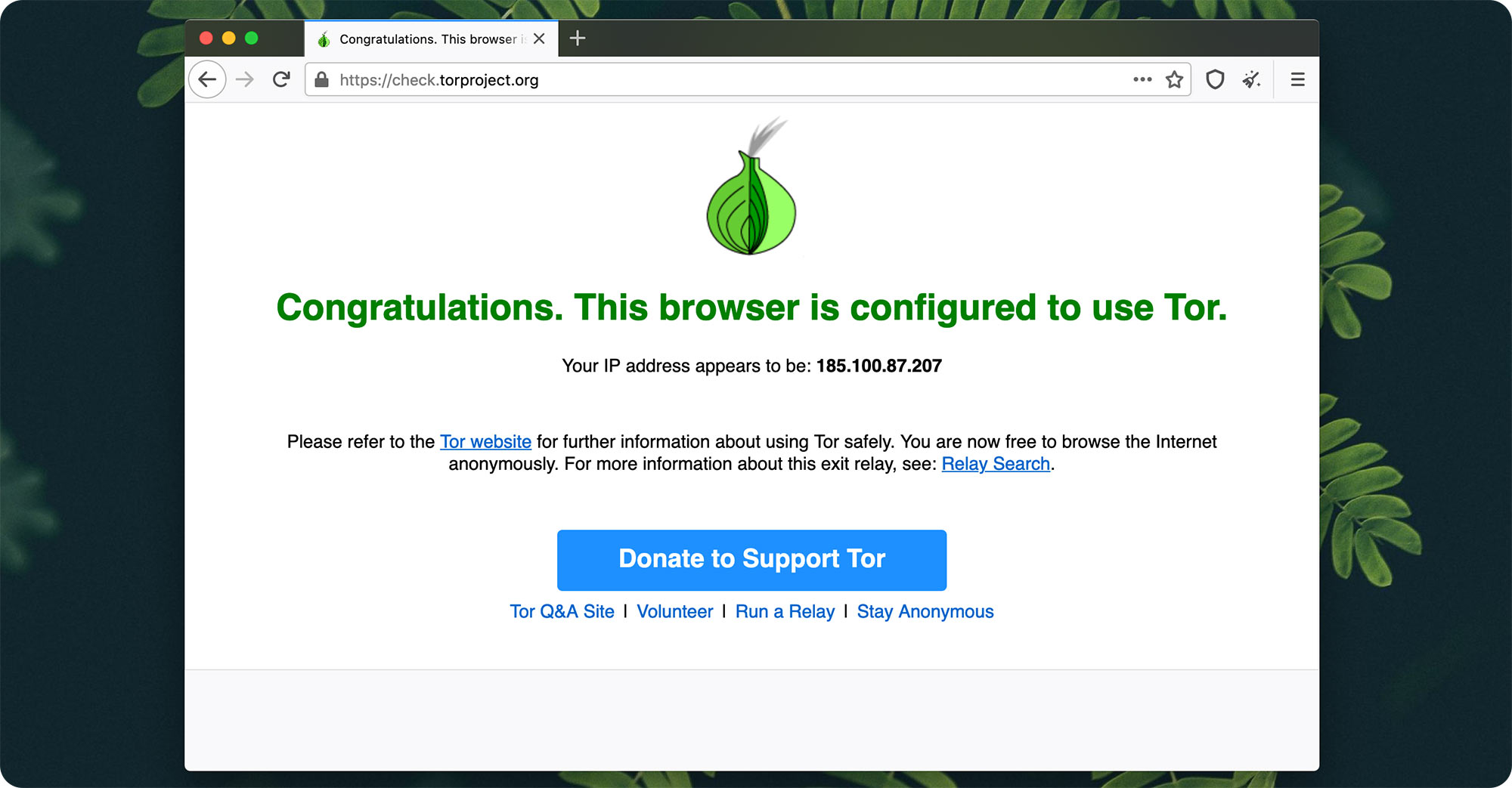 Настройка tor browser mac os hidra почему не устанавливается тор браузер gidra